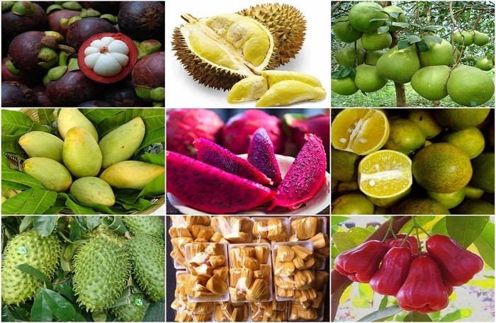 Agricultural products of Vietnam are abundant and diverse