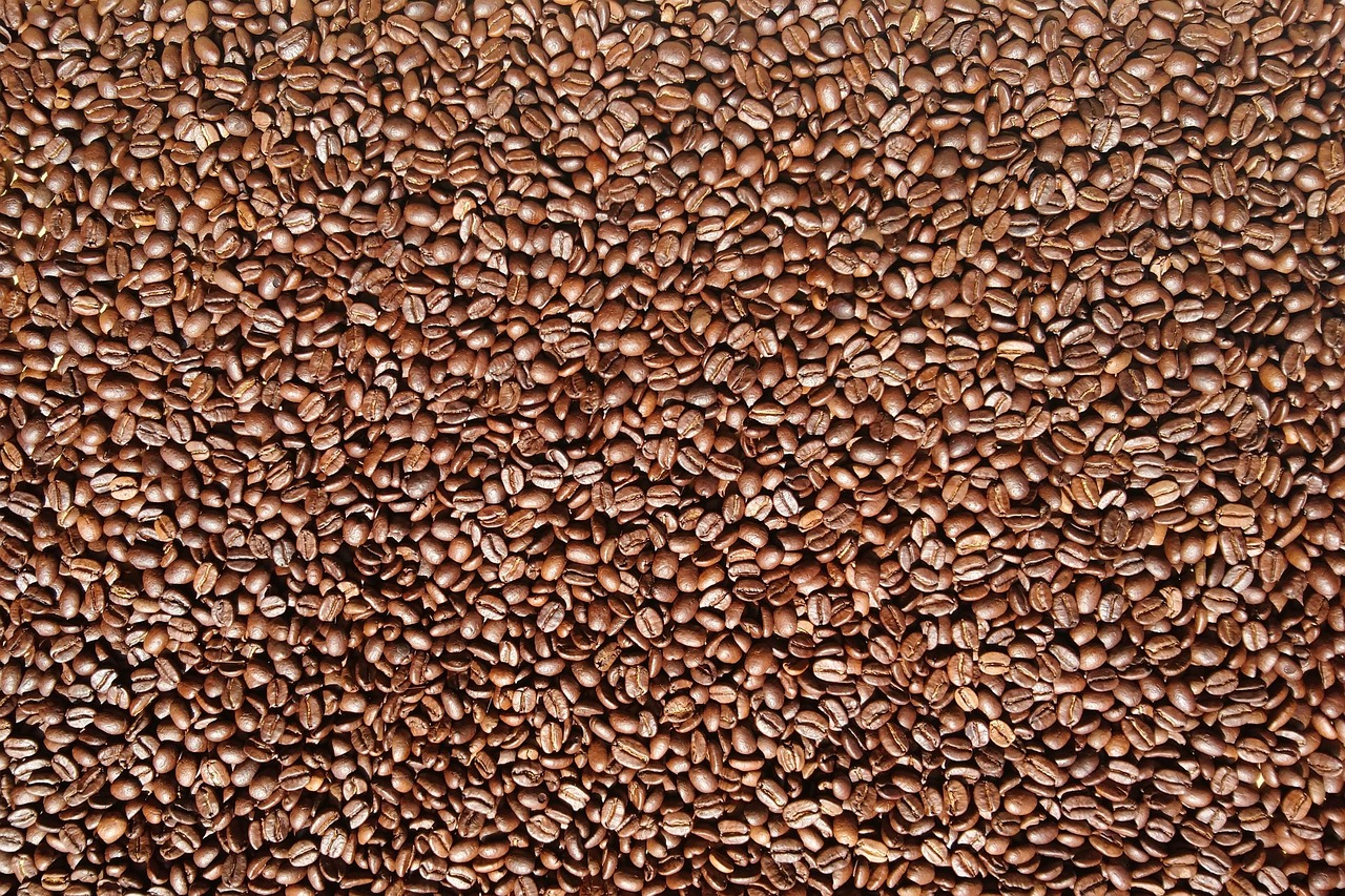 Vietnam coffee export 2025