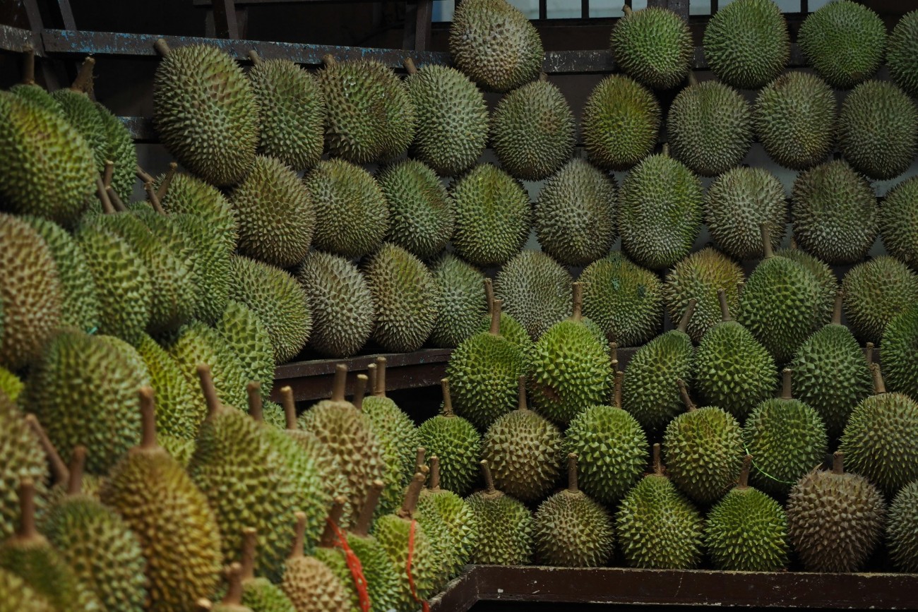 Vietnam fruit export packaging