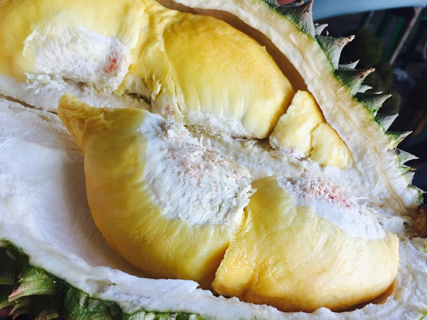 Durian flesh with creamy yellow pulp inside the fruit