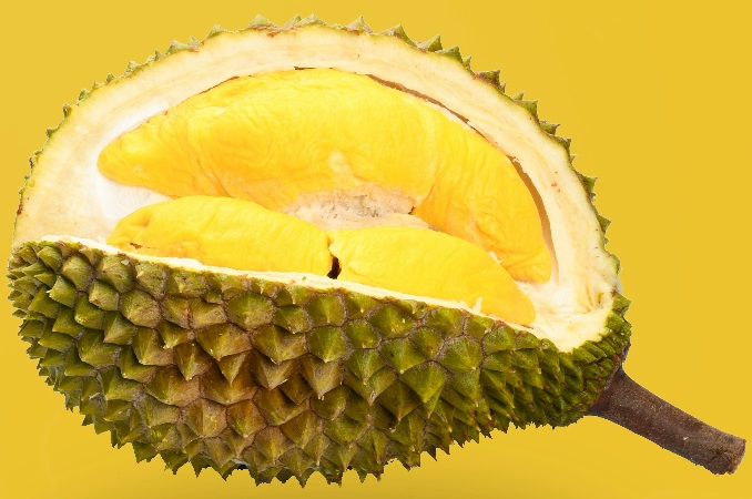 partially opened durian showing ripe flesh and strong natural smell