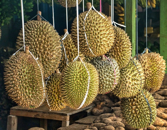 durian packing for export in vietnam