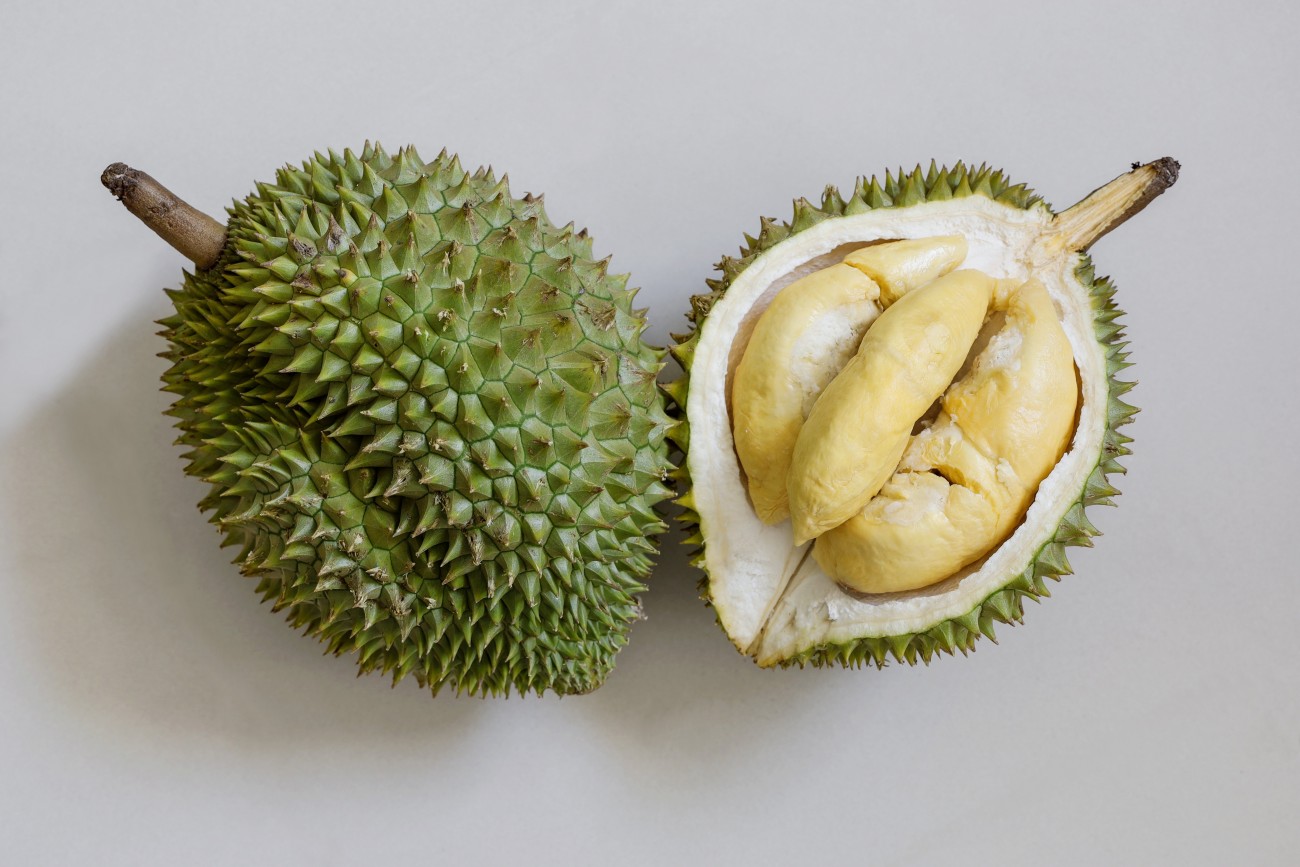 monthong durian fruit vietnam export quality