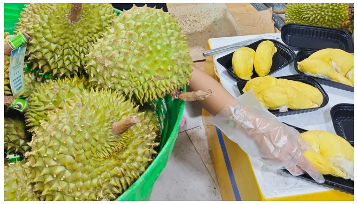 Ri6 durian fruit from Vietnam known for deep yellow flesh and rich flavor