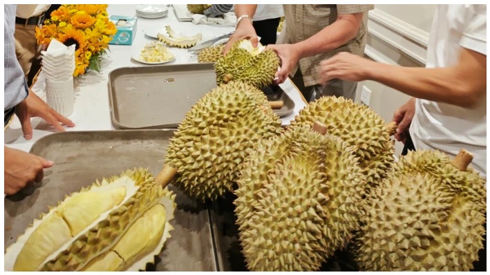 Sầu riêng Monthong bổ đôi với cơm dày màu vàng nhạt