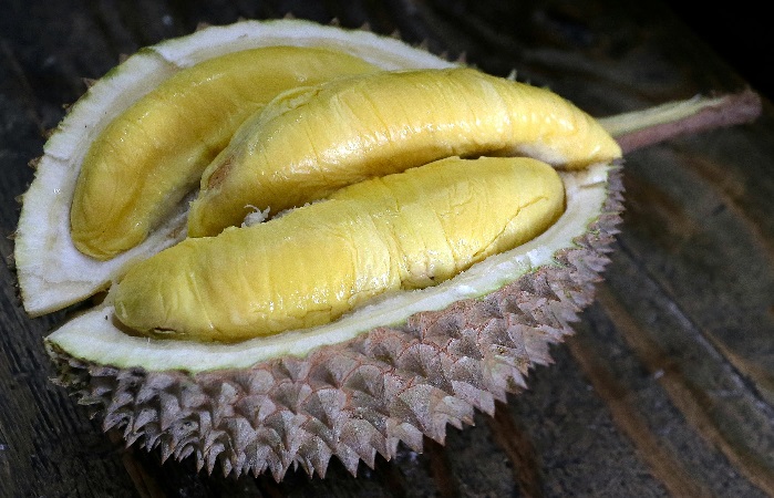 Vietnam durian with partially opened shell showing ripe and high-quality flesh for export