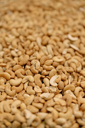 Large quantity of Vietnamese cashew kernels ready for processing and export