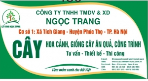 Hoa - Cây Cảnh