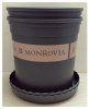 2  Bộ Chậu Nhựa Trồng Hoa Cây Cảnh MONROVIA 1,5Gal CN (Chậu + Đĩa)  