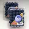 Việt quất tươi Mỹ (Blueberry)