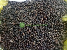 bán sỉ & lẻ tiêu say và tiêu hột Đắklắk