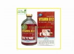 Vitamin B12 hộp 50ml - Trị thiếu máu, chậm lớn cho động vật, Giải độc cho cây!