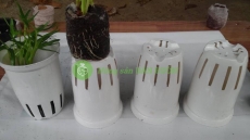 Combo 100 Rọ Nhựa Thủy Canh Trắng 100x65mm – Cốc Trồng Rau Cho Rễ To, Máng Sâu