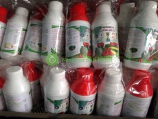 Dung Dịch Thủy Canh Cho Cây Ăn Quả Hydro Umat F – Tăng Năng Suất, Ngọt Quả, Xanh Lá
