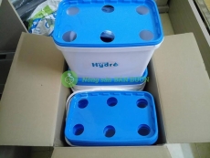 Bộ 10 thùng trồng thủy canh cho RAU ĂN LÁ HOPTRI GROWBOX LEAFTY KIT 10 - Tặng kèm 2 cặp (4 lọ) dung dịch thủy canh bột Hoptri HYDRO LEAFY 