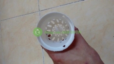 50 Rọ Nhựa Thủy Canh Trắng (100x65mm) 