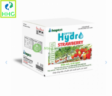 [Combo 10kg] Hydroponic Nutrient A+B for Strawberry – High-Yield Formula | Dinh Dưỡng Thủy Canh Cho Dâu Ngọt, Nhiều Trái