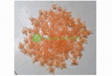 TÚI 100 KẸP BƯỚM TRỒNG LAN SIÊU ĐẸP (LOẠI MÀU CAM)