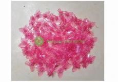 TÚI 100 KẸP BƯỚM TRỒNG LAN SIÊU ĐẸP (LOẠI MÀU HỒNG)