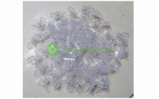 TÚI 100 KẸP BƯỚM TRỒNG LAN SIÊU ĐẸP (LOẠI MÀU TRẮNG)