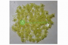 TÚI 100 KẸP BƯỚM TRỒNG LAN SIÊU ĐẸP (LOẠI MÀU VÀNG)