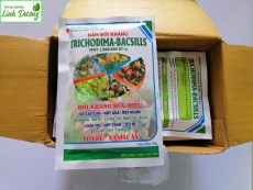 Hộp 15 gói NẤM ĐỐI KHÁNG TRICHODIMA - BACSILIS SP.BT 1.000.000 BT/G