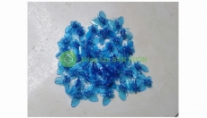 TÚI 50 KẸP BƯỚM TRỒNG LAN SIÊU ĐẸP (LOẠI MÀU XANH NƯỚC BIỂN)