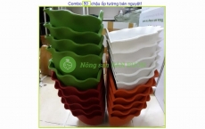 50 Chậu Ốp Tường Tim Trồng Hoa, Trồng Cây Ban Công, Cây Treo Tường, Treo Lan Can