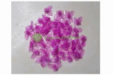 TÚI 50 KẸP BƯỚM TRỒNG LAN SIÊU ĐẸP (LOẠI MÀU TÍM)