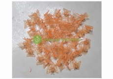 TÚI 50 KẸP BƯỚM TRỒNG LAN SIÊU ĐẸP (LOẠI MÀU CAM)