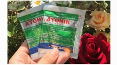 Hộp 10 gói ATONIK 1.8 SL - Sản phẩm kích sinh trưởng cây trồng thế hệ mới!