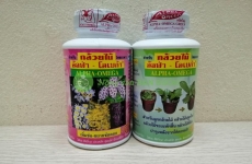 ComBo Alpha Omega Xanh 250 ml - Kích thích sinh trưởng, kích mầm chồi hoa Lan + Thuốc kích hoa Alpha Omega U45 250ml _ Hàng nhập Thái Lan