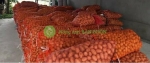 500 túi lưới đựng khoai tây, nông sản, (có thể đựng 40kg)