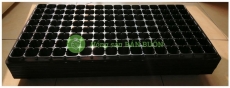 COMBO 50 KHAY NHỰA PVC 128 LỖ ƯƠM CÂY TIỆN LỢI, DỄ SỬ DỤNG, TÍCH KIỆM DIỆN TÍCH