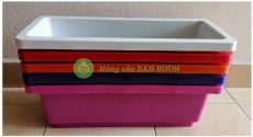 COMBO 5 Máng Ngắn, HCN, KT 48X20X16CM - NHIỀU MÀU