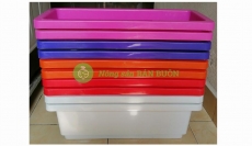 COMBO 10 Máng Ngắn, HCN, KT 48X20X16CM - NHIỀU MÀU