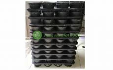 COMBO 10KHAY NHỰA CỨNG 12 LỖ + 120 CHẬU NHỰA FI 10CM TRỒNG RAU ƯƠM MẦM