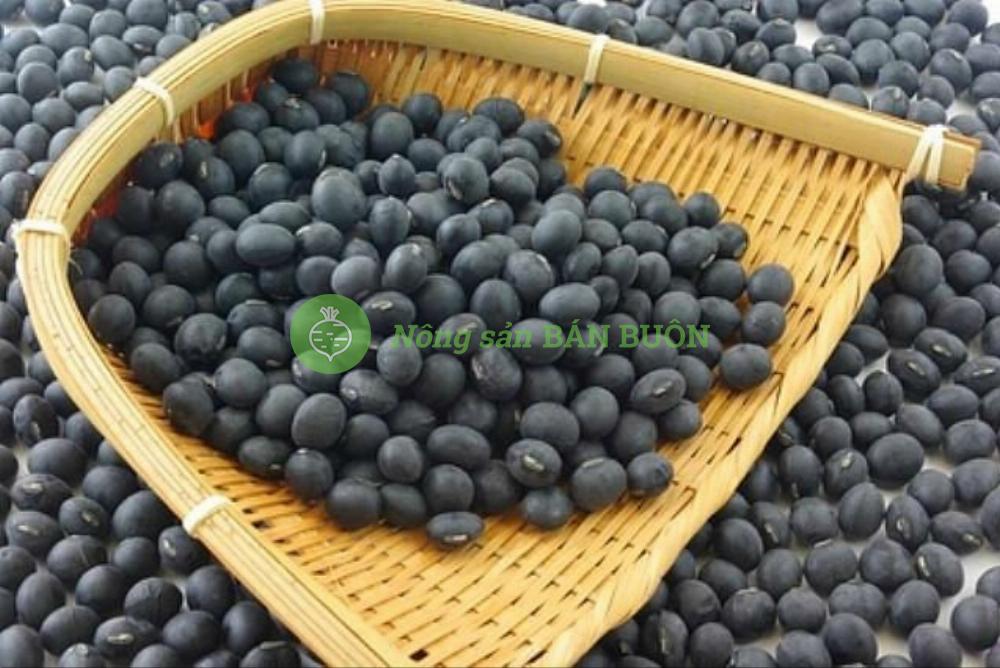 Bột đậu đen Black soybean extract