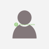 Giá sầu riêng Việt Nam 2026 mới nhất – Ri6, Monthong và giá xuất khẩu