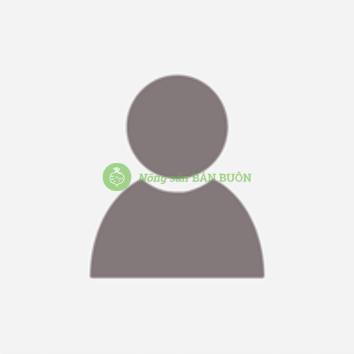 Giá sầu riêng Việt Nam 2026 mới nhất – Ri6, Monthong và giá xuất khẩu