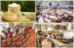 Vài nét sơ lược về tình hình xuất khẩu nông lâm thuỷ hải sản của Việt Nam