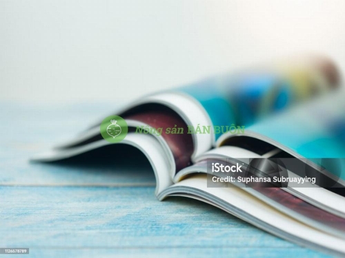Export Product Catalogue – Vietnamese Agricultural & Food Products