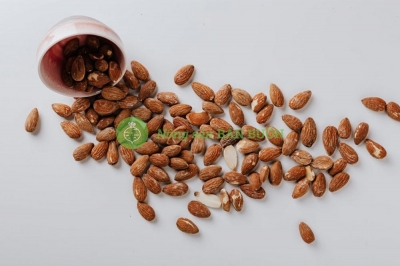 Vietnam Market Entry Sample Report – Almond Industry