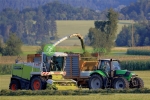 Vietnam’s Agricultural Exports in 2025: Products Gaining Global Momentum