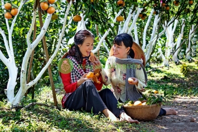 Bản đồ các mặt hàng nông sản xuất khẩu chủ lực của Việt Nam