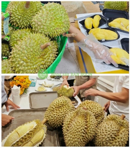 Ri6 vs Monthong Durian: Key Differences in Flavor, Appearance, and Export Market