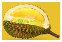 Why Does Durian Smell So Strong? The Science Behind Durian’s Odor