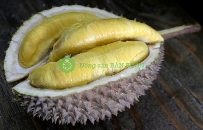 Tiêu chuẩn xuất khẩu sầu riêng Việt Nam (Cập nhật 2026)