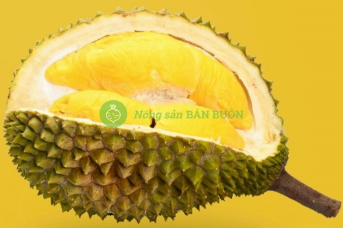 Tại sao sầu riêng có mùi nồng? Giải thích khoa học về mùi sầu riêng