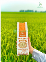 Gạo lứt Séng Cù Điện Biên 5kg có đáng mua không? Review thật từ 3.000+ người mua